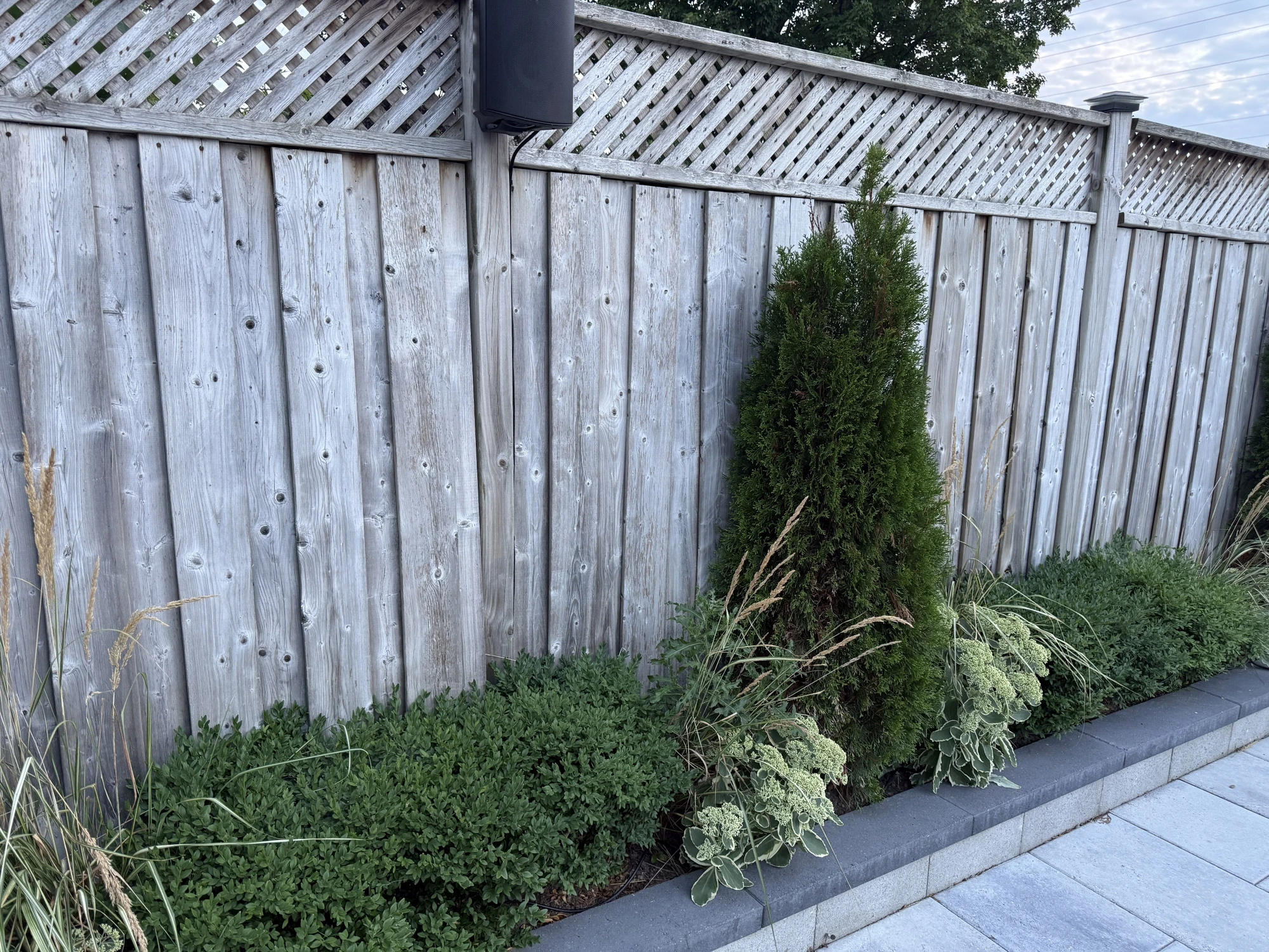 Fence after power washing